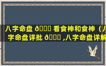 八字命盘 🐛 看食神和食神（八字命盘详批 🐈 ,八字命盘详解）